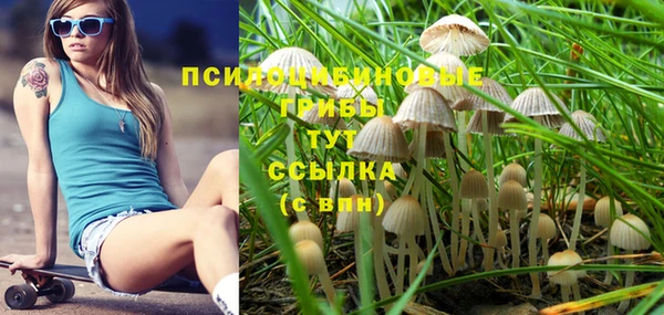 герыч Алексин