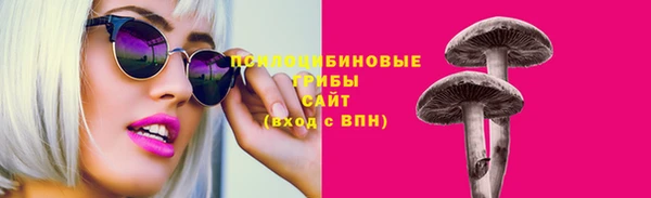 apvp Алзамай
